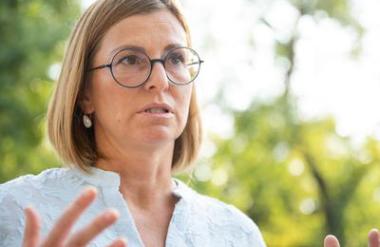Felser ostaja direktorica AVP do odločitve na vladi