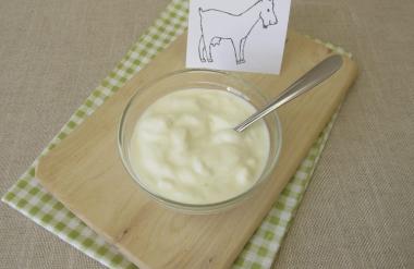 Presenetljive prednosti kozjega mleka, ki jih (še) ne poznate