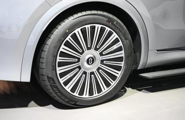 To je znamka, za katero najbrž sploh še niste slišali, a je lani na domačem trgu prodala več luksuznih avtomobilov kot BMW in Mercedes-Benz
