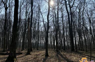 Sonce danes, nevihte jutri