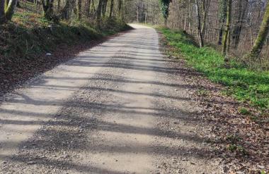 Enoletno deklico iskali tudi z dronom