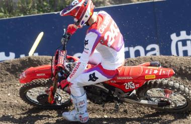 Gajser: 