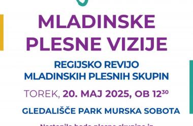 Plesne vizije – regijsko revijo mladinskih plesnih skupin