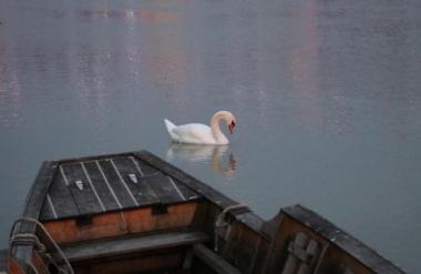 Prihaja hladna fronta, ki prinaša dež in nižje temperature