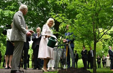 Ups, Camilla, to pa je nerodno!