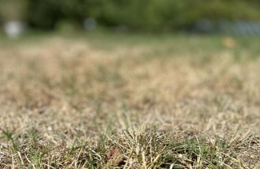 Prižigajo se alarmi, ponekod pozivajo k premišljeni rabi pitne vode