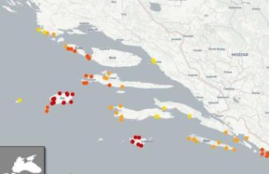 Vis, Hvar, Korčula, Lastovo, Mljet: na Hrvaškem se hitro širi nevarna riba