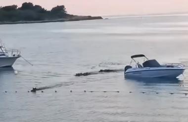 V hrvaškem kampu turisti posneli nenavaden prizor