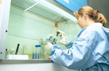 V naši bližini se pojavlja nevaren virus, Avstrijci prižgali alarme