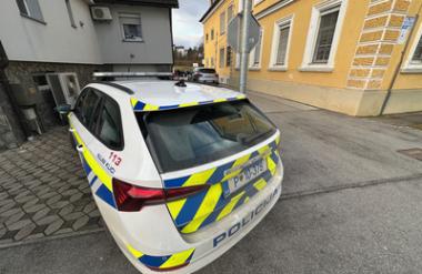 Dolenjska: lastnik hiše hotel zaščititi svoj vrt – končalo se je z udarcem v glavo