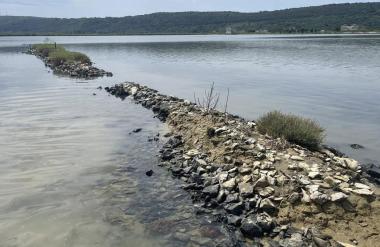 Skrajno zaskrbljujoče ugotovitve iz Sečoveljskih solin