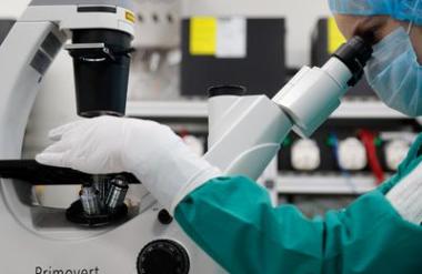 DZ odpravil neustavnost pri dostopu do oploditve z biomedicinsko pomočjo