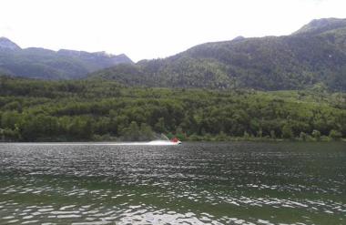 Po poginu več psov: Znani rezultati novih analiz iz Bohinjskega jezera