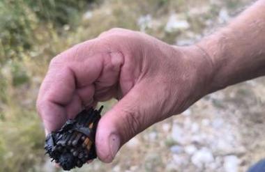 Požari pri Omišu in Makarski podtaknjeni? Policija išče požigalca.