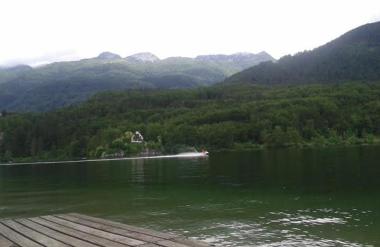 Zdaj je jasno, zakaj so po kopanju v Bohinjskem jezeru psi poginili